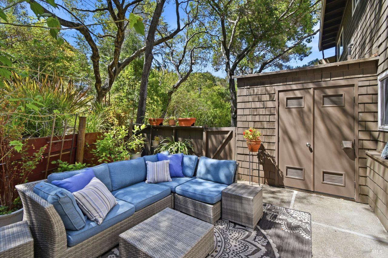 1411 Casa Buena Drive Unit: #36