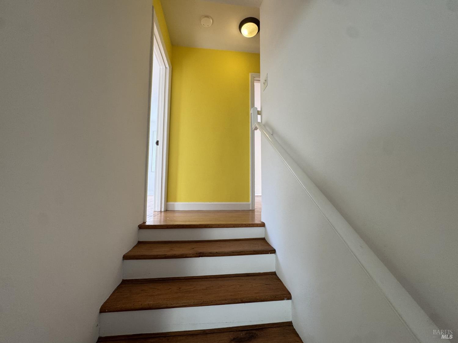 37 Brookdale Avenue