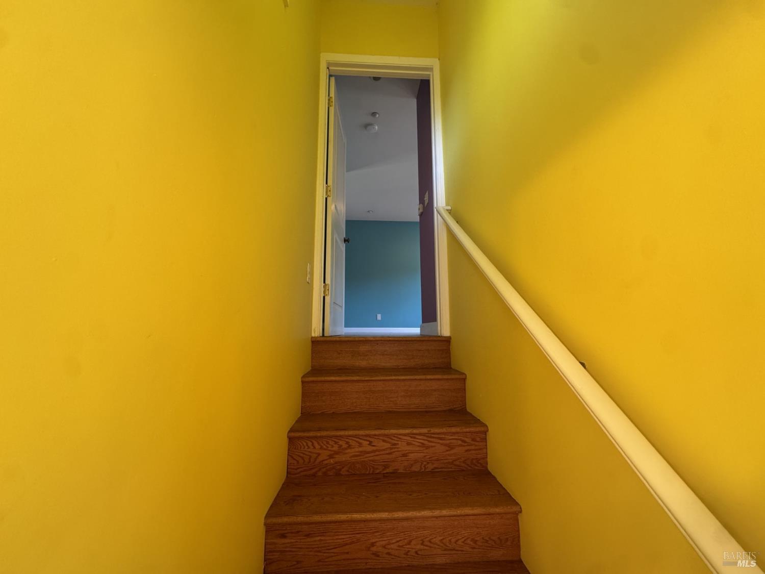 37 Brookdale Avenue