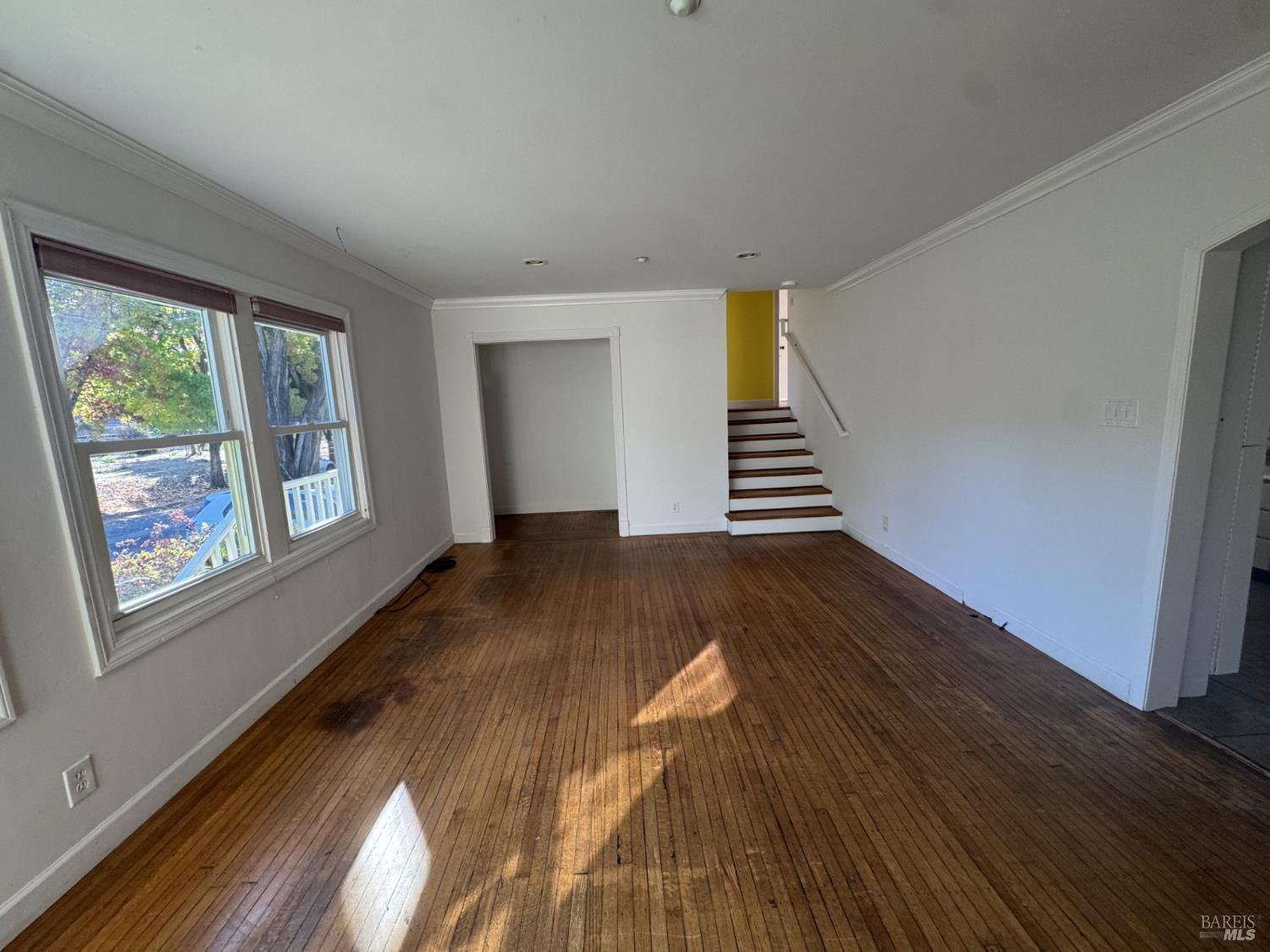 37 Brookdale Avenue