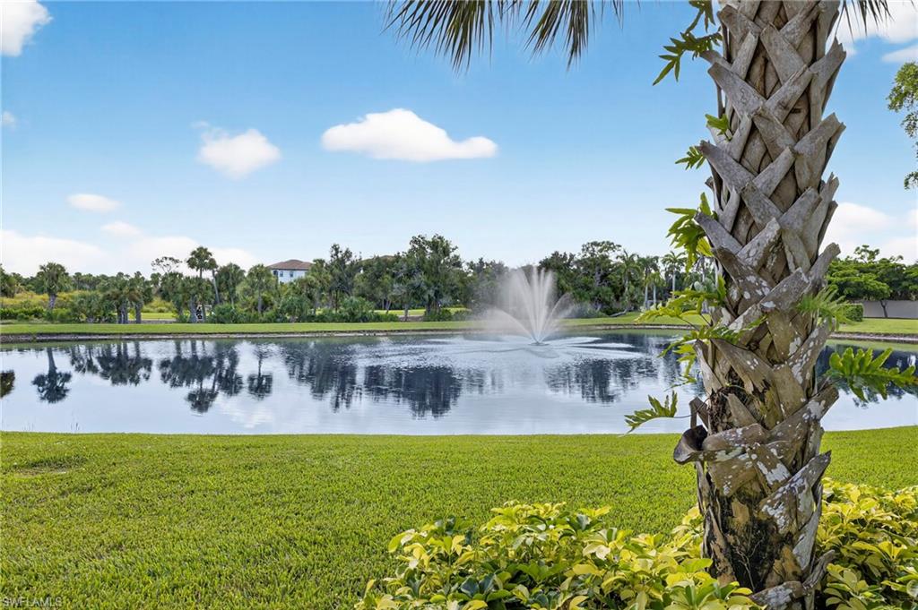 24451 Terzetto LN # 402