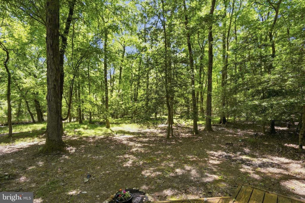 22300 FRAZIER ROAD