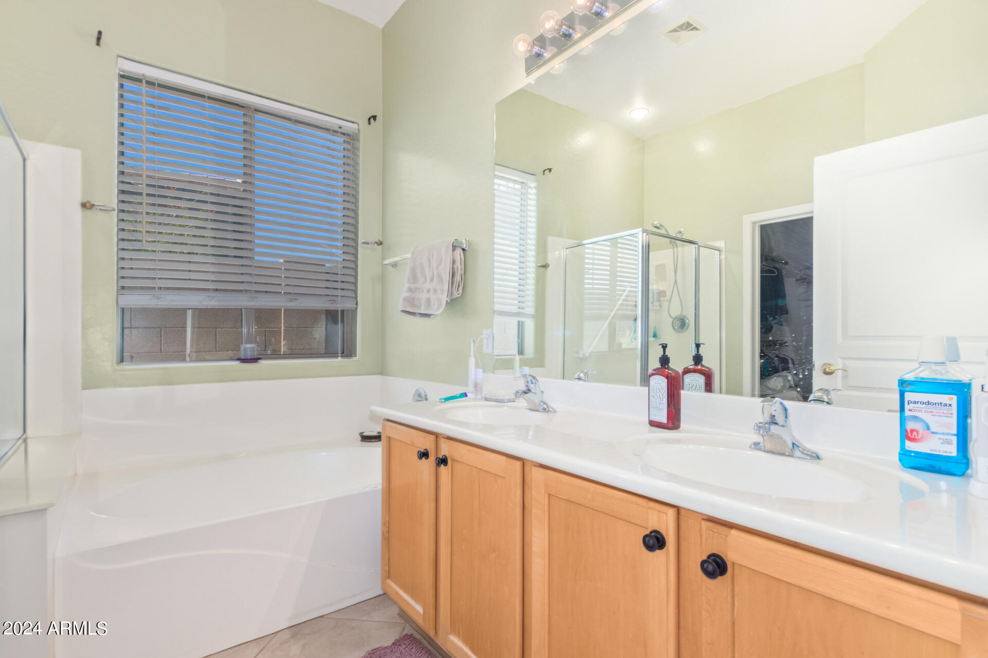 8297 S DESERT PRESERVE Court