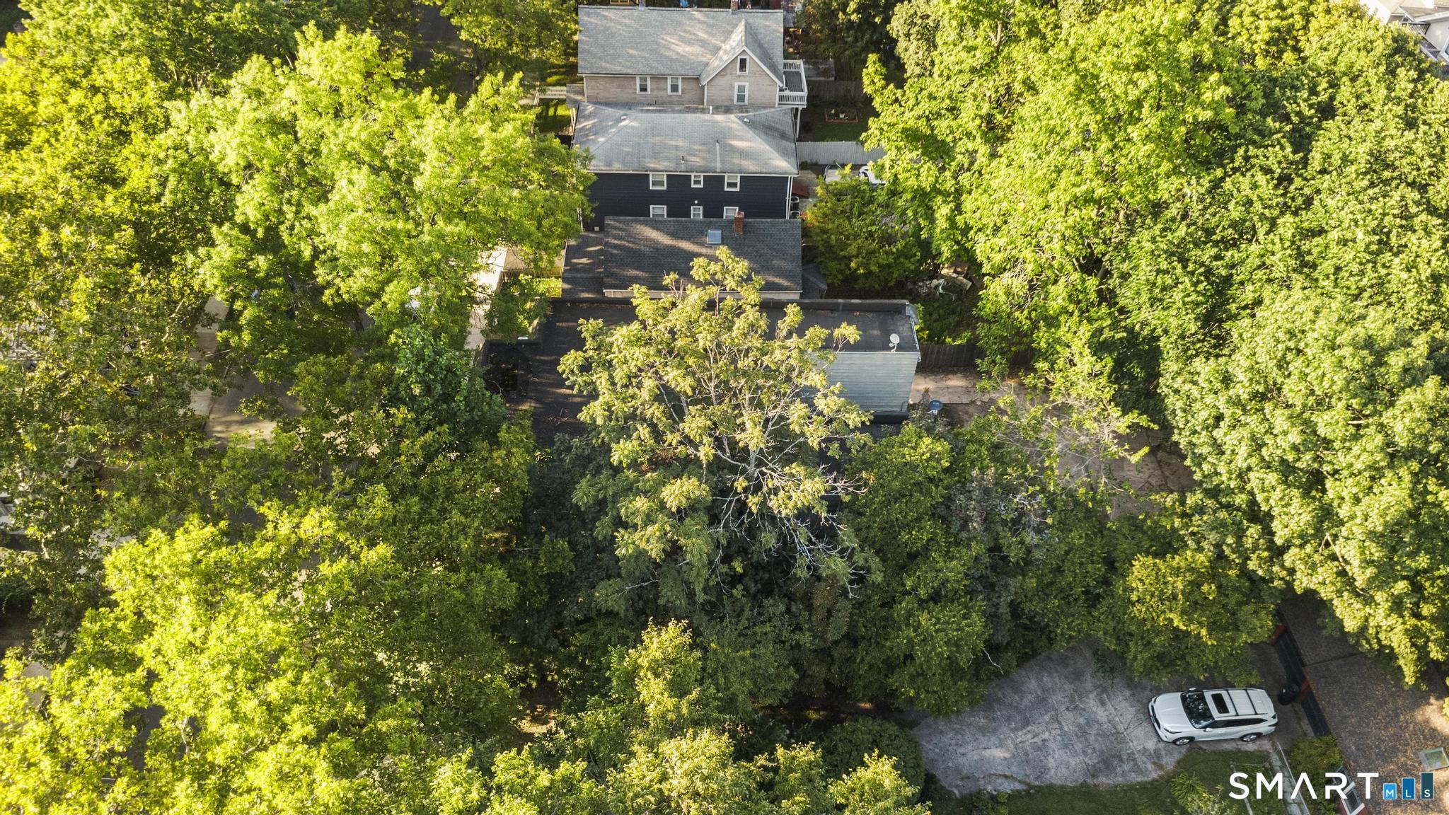 97-99 Greenwich Avenue