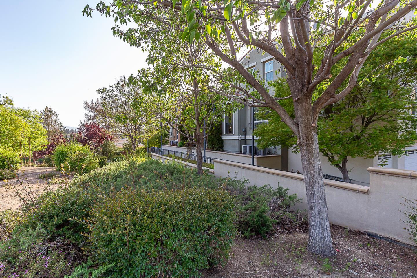 2174 Sunstruck Court