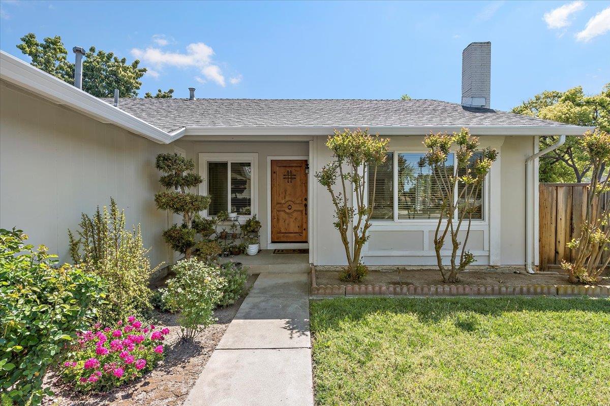 220 Pinot CT