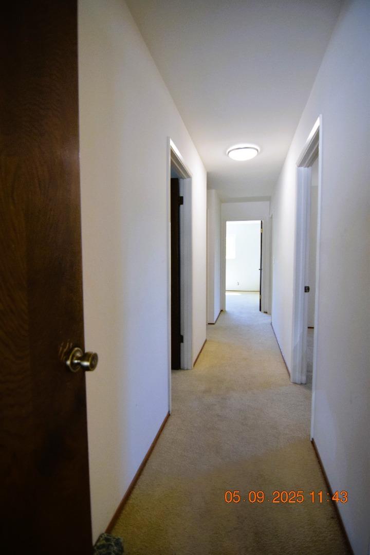 4456 Waimea Court