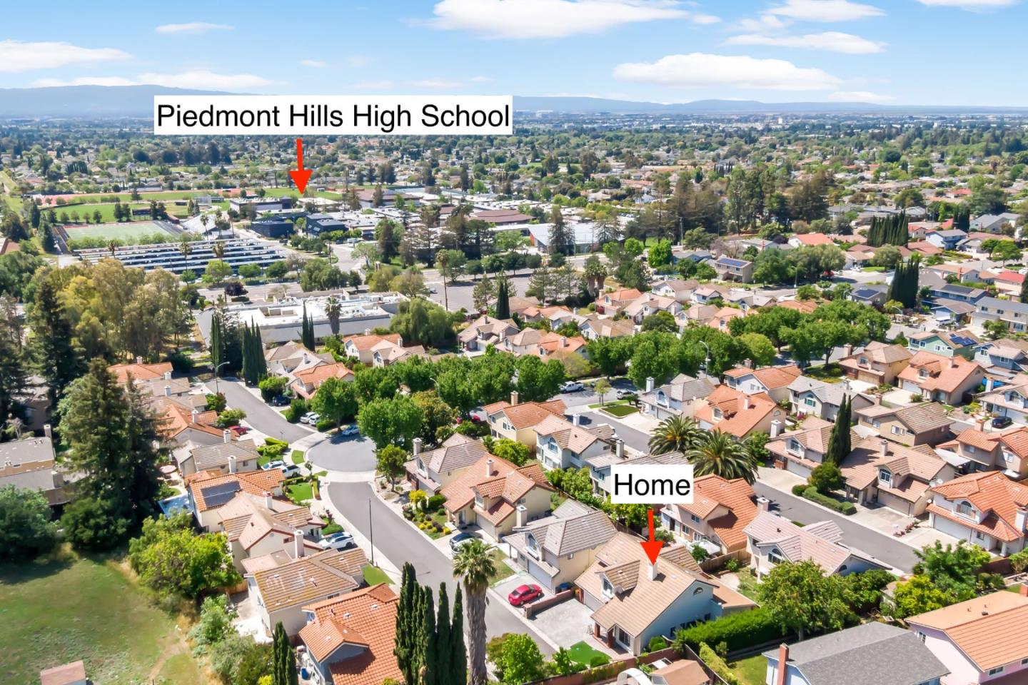 3389 Brook Leaf Court