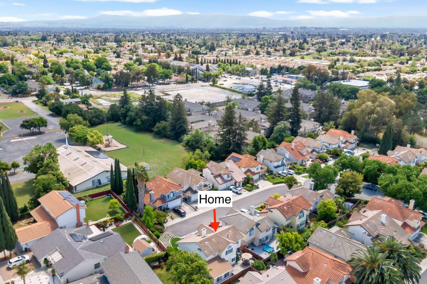 3389 Brook Leaf Court