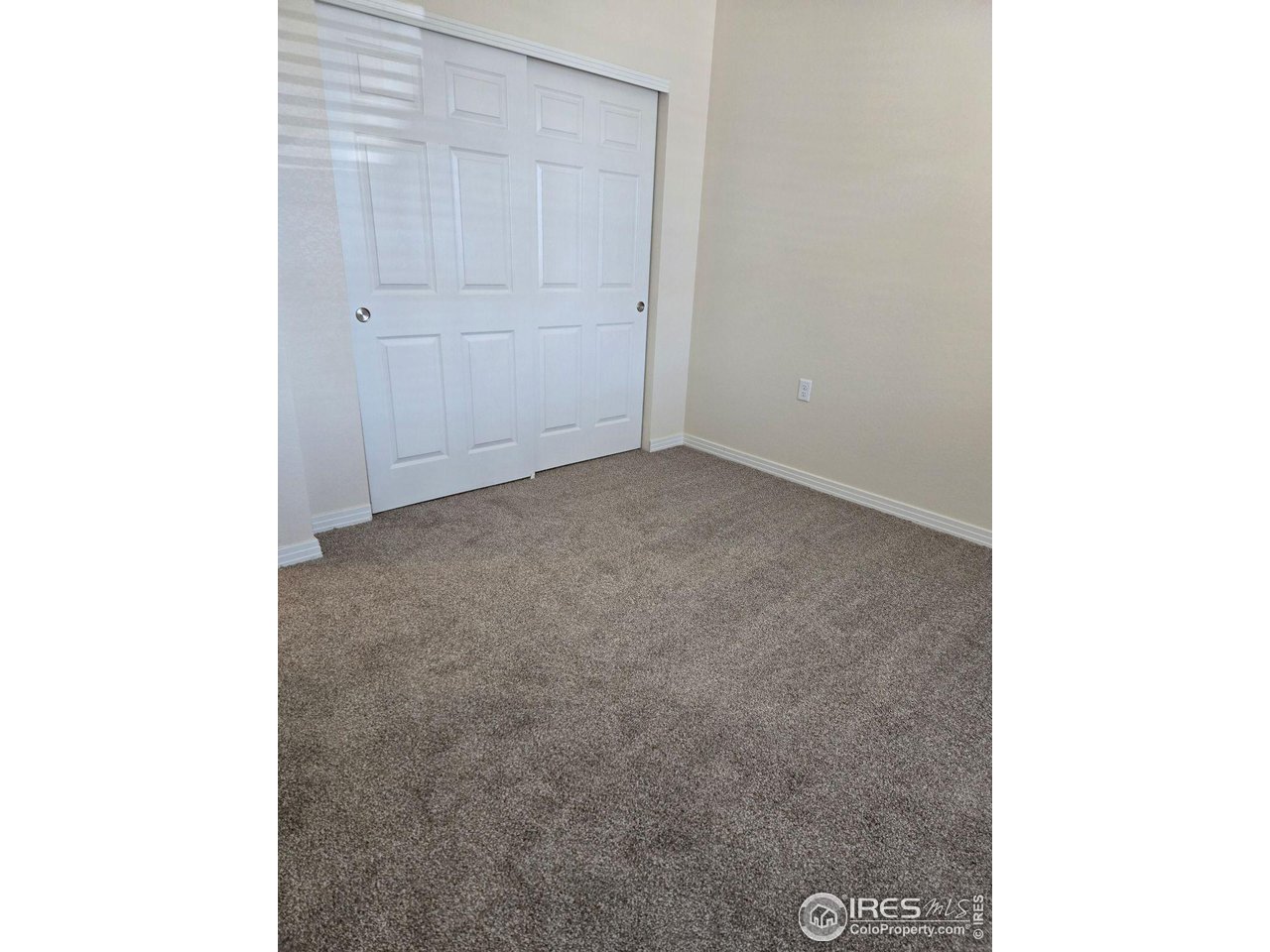 842 Widgeon Dr