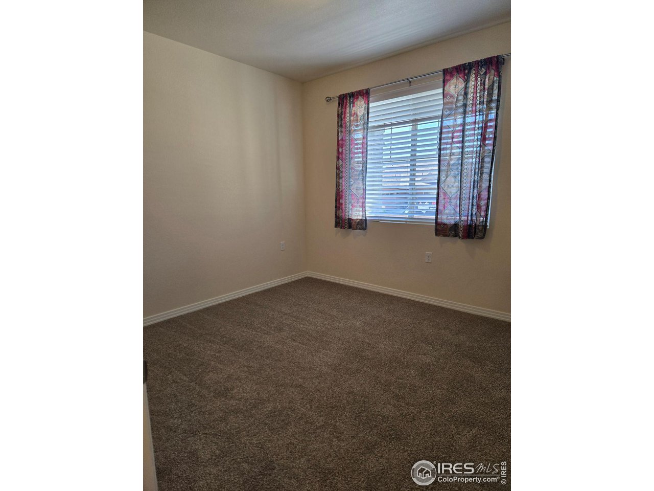 842 Widgeon Dr