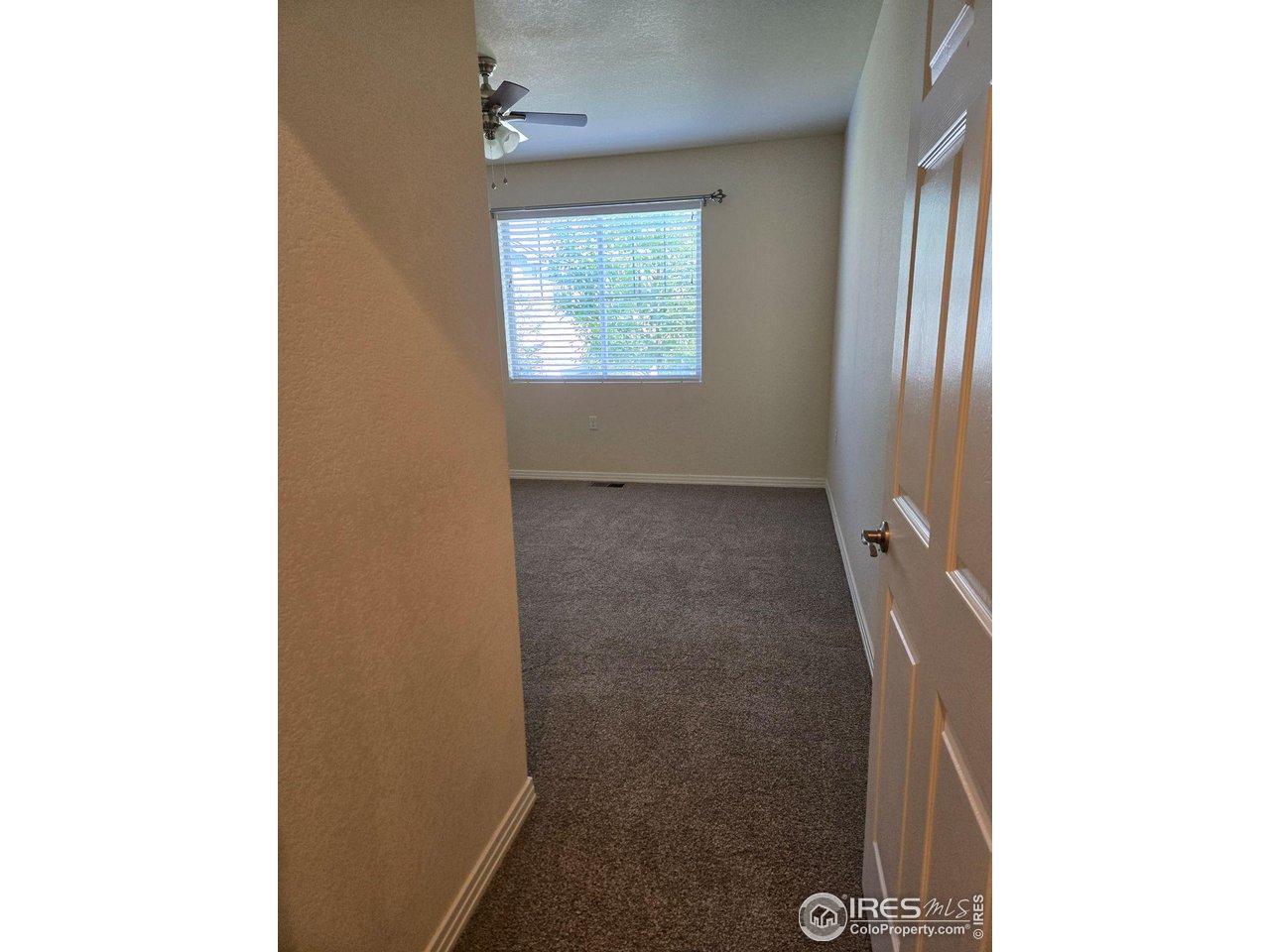 842 Widgeon Dr