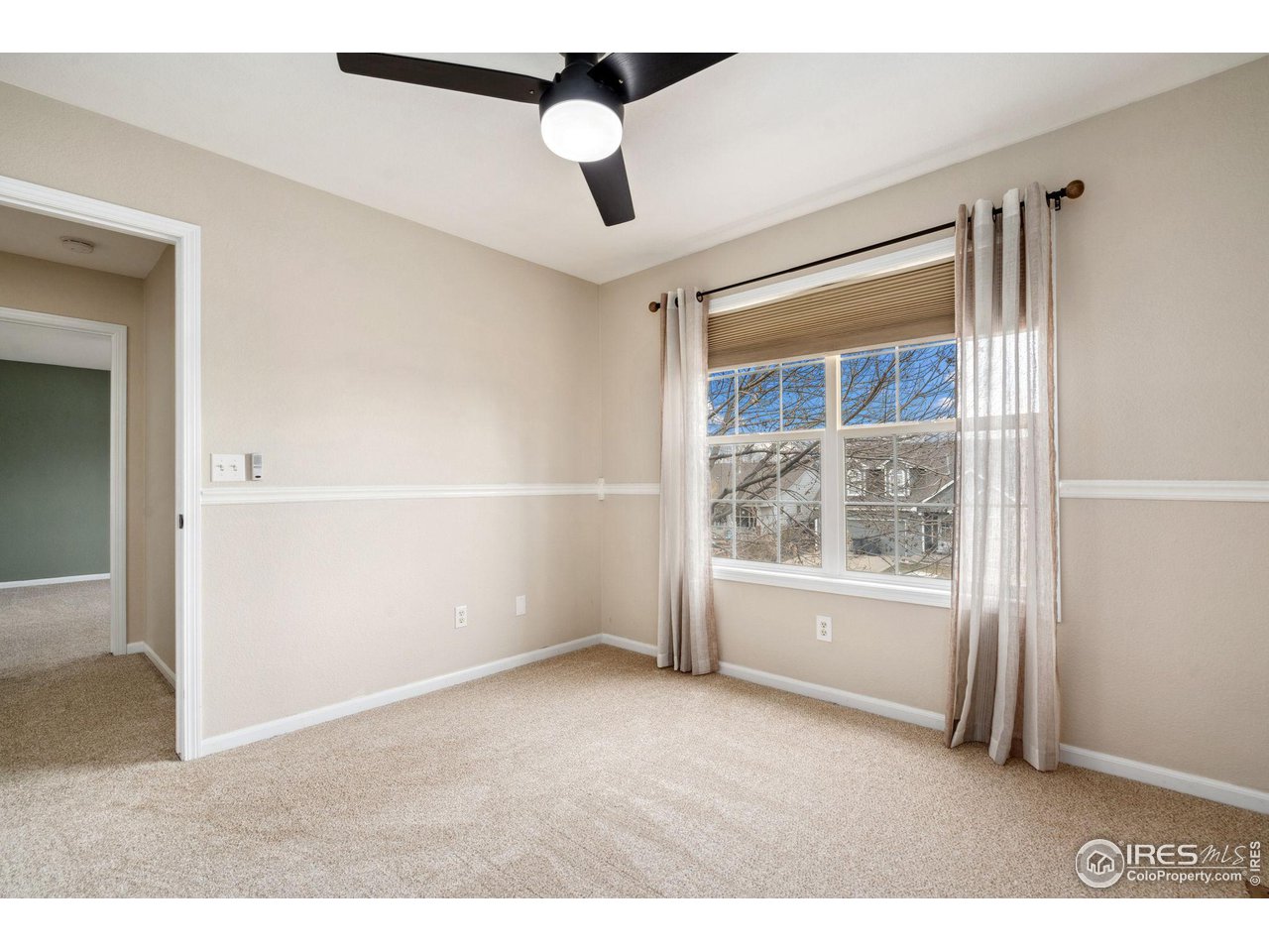 447 Lark Bunting Ave