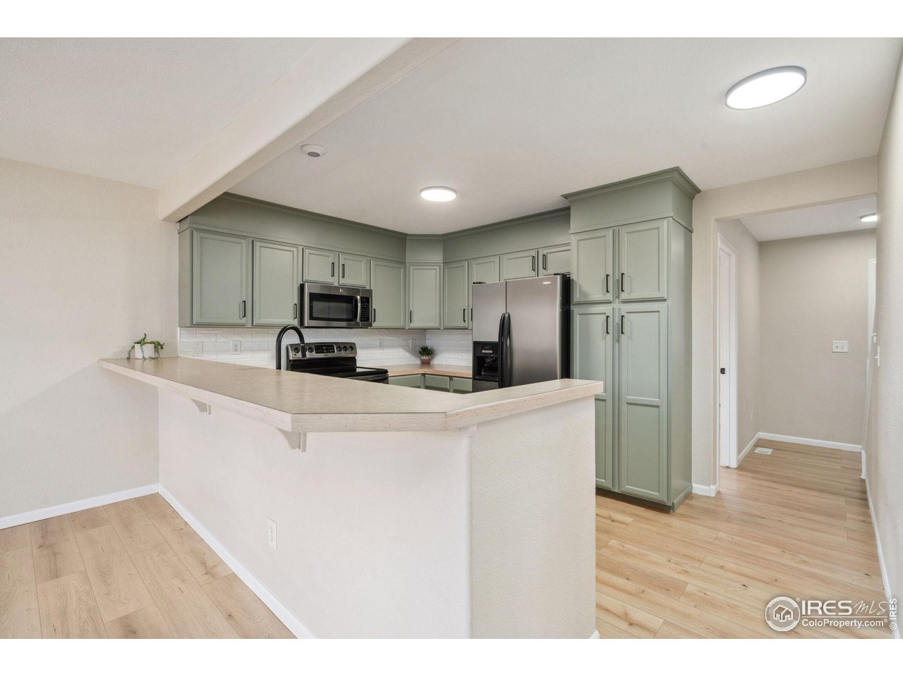 447 Lark Bunting Ave