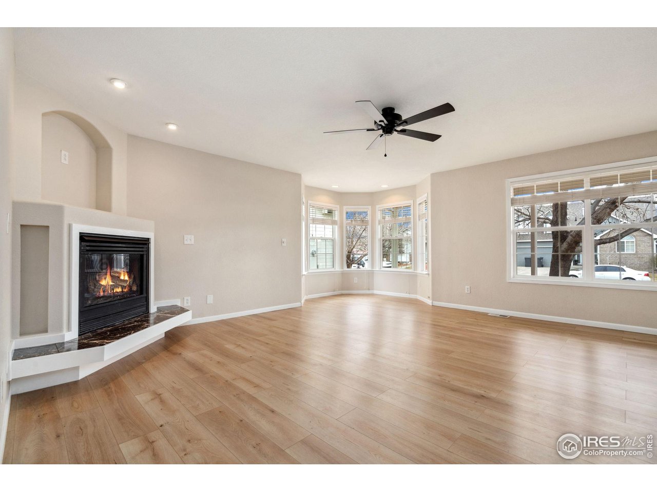 447 Lark Bunting Ave