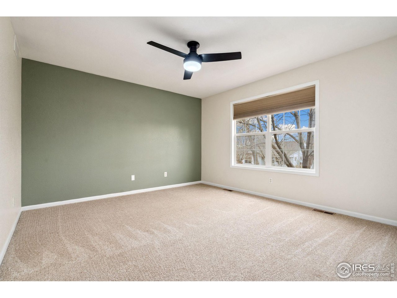 447 Lark Bunting Ave