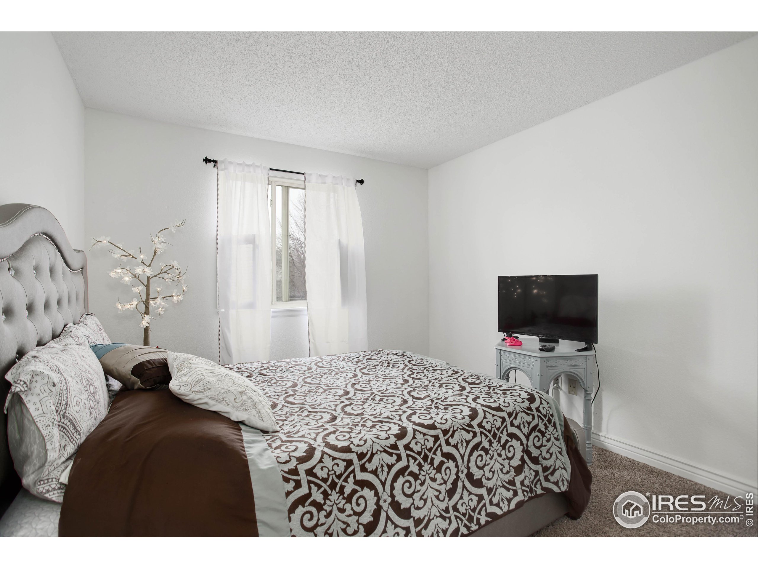 710 Rocky Mountain Pl
