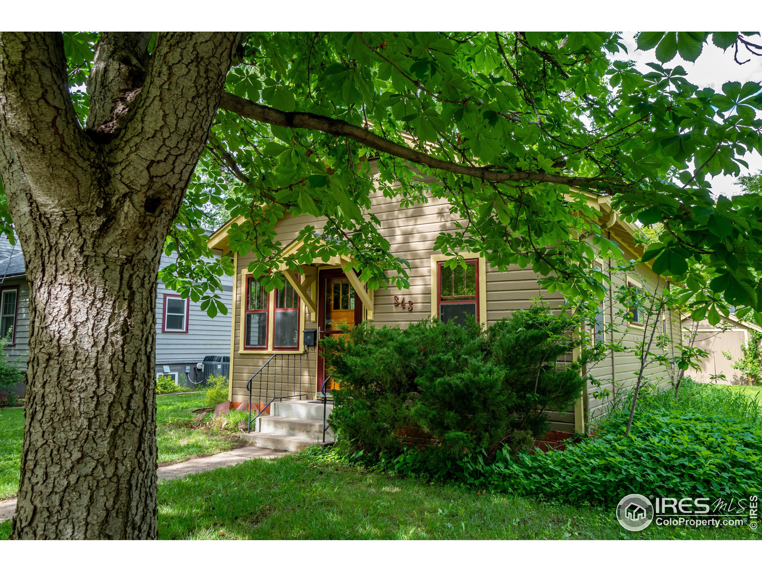 343 Sherman St