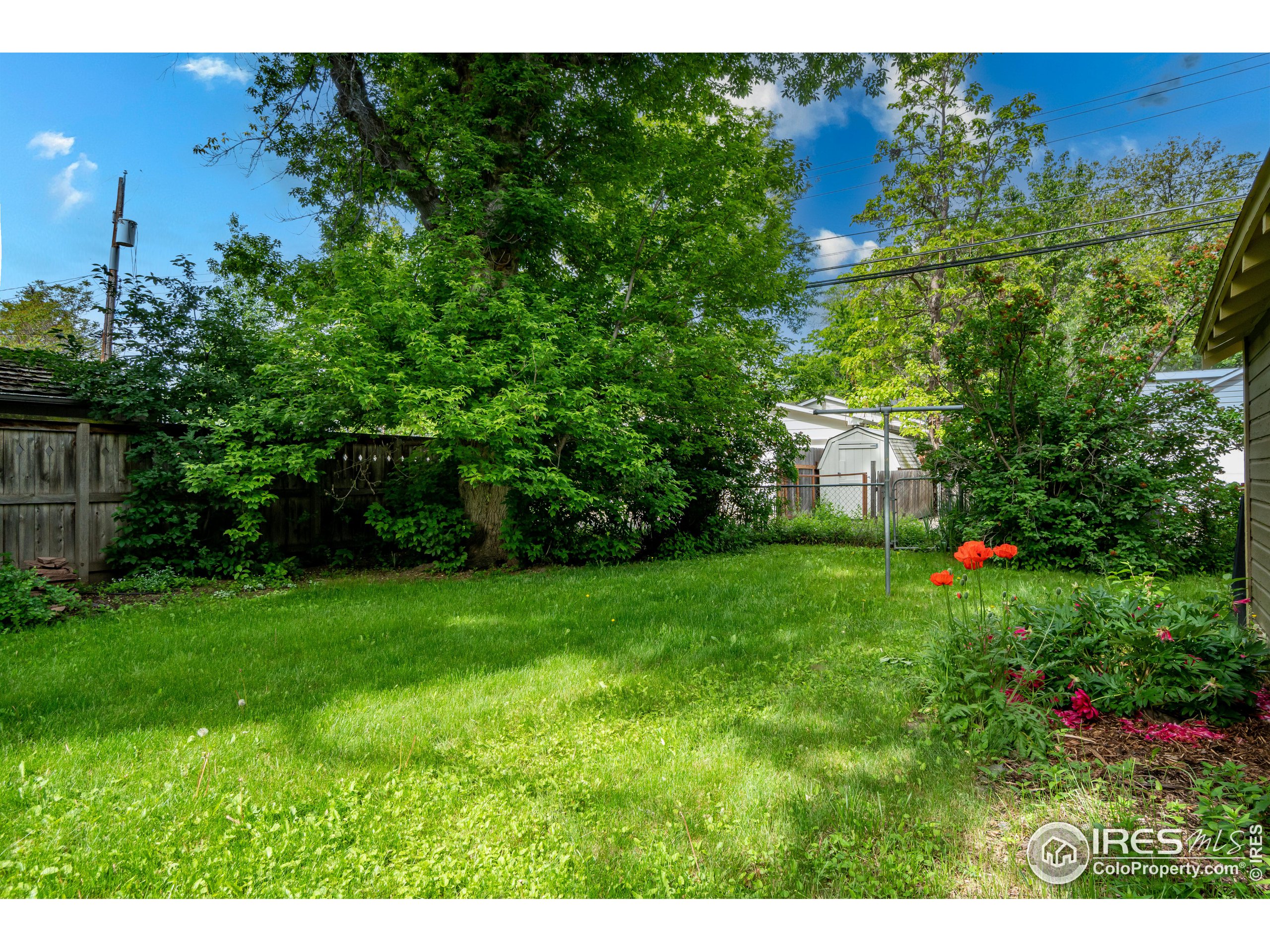 343 Sherman St