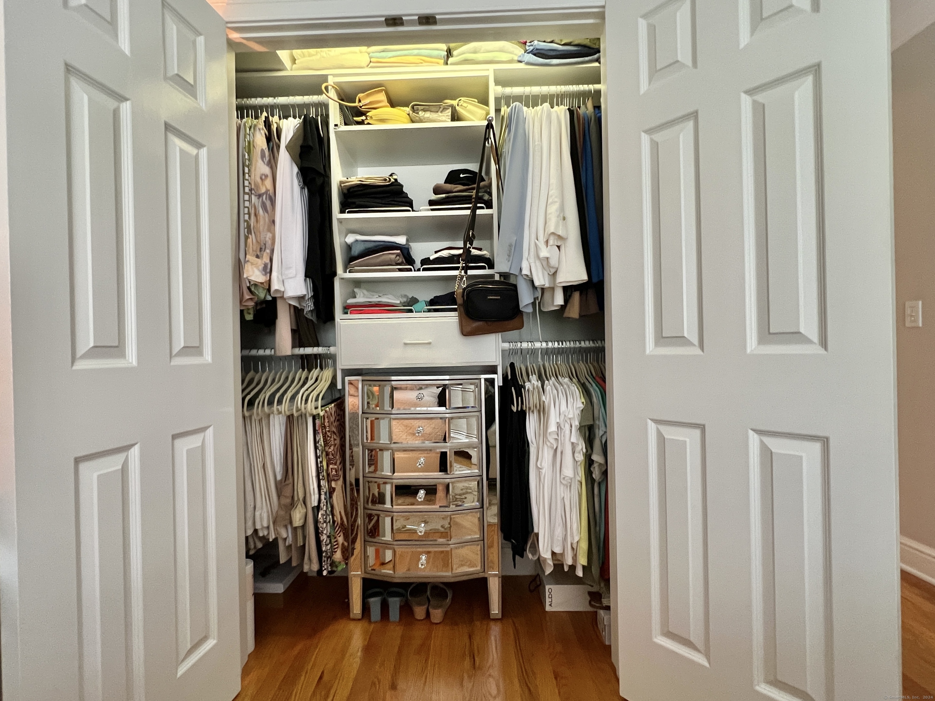 Walk-in closet with built-in clothing storage and a mirrored drawer cabinet.