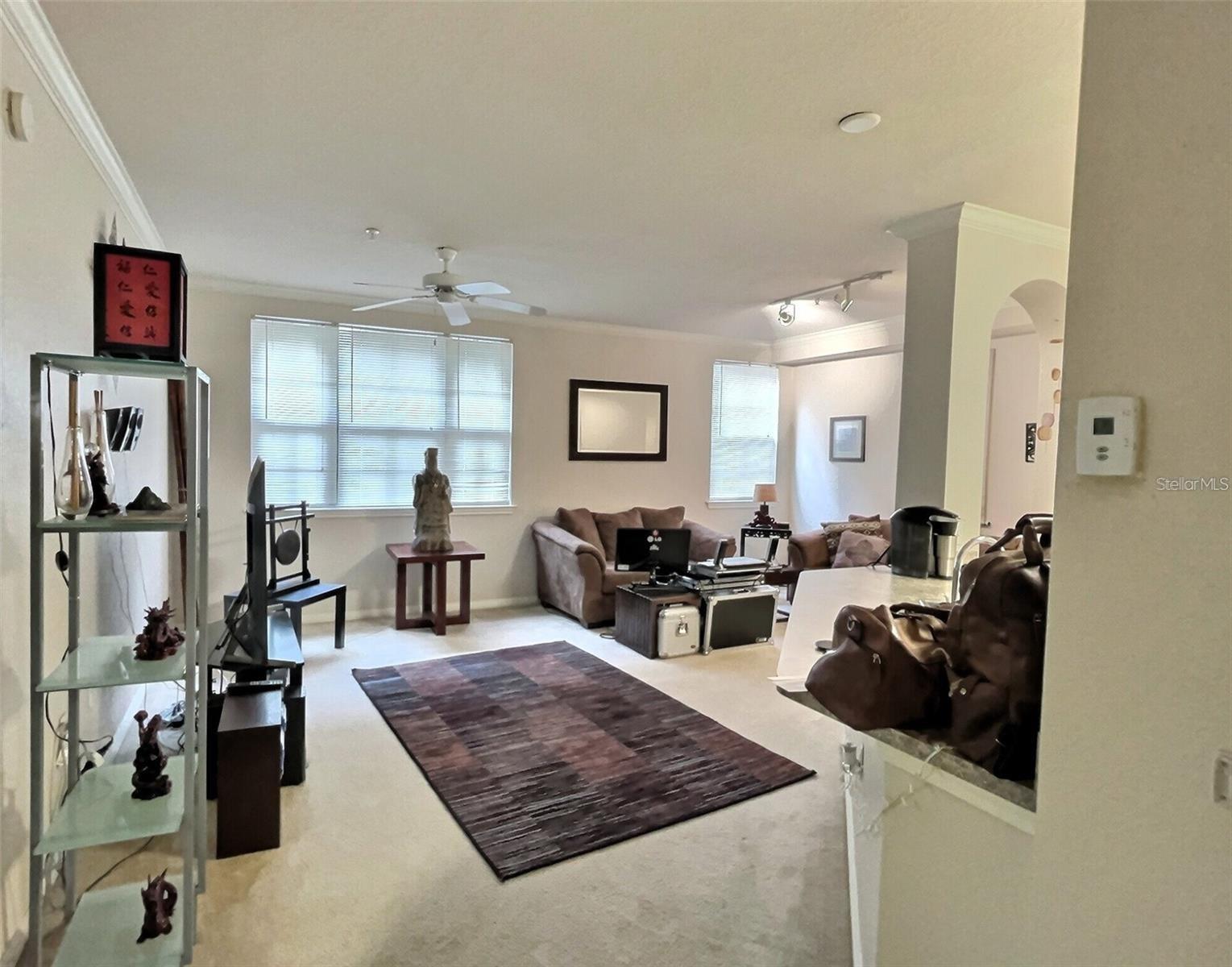 911 N ORANGE AVE #117