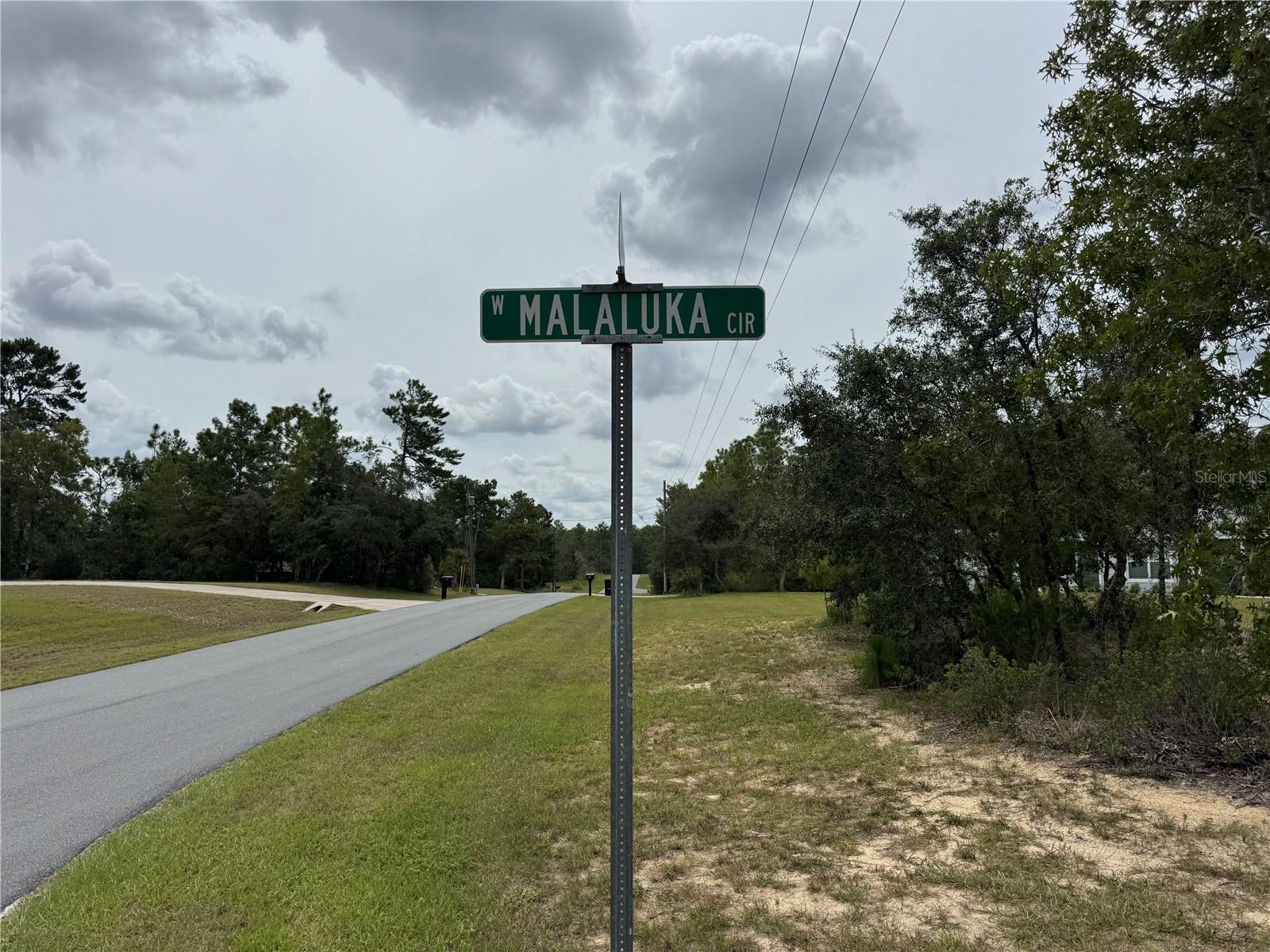 4468 W MALALUKA CIR