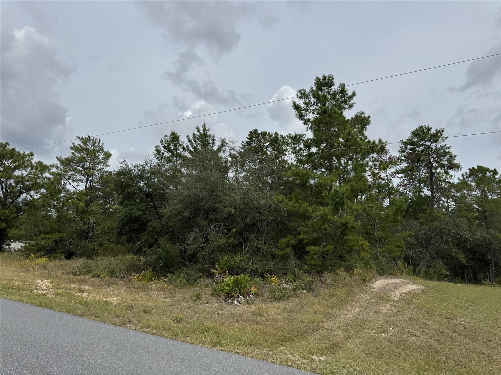4468 W MALALUKA CIR