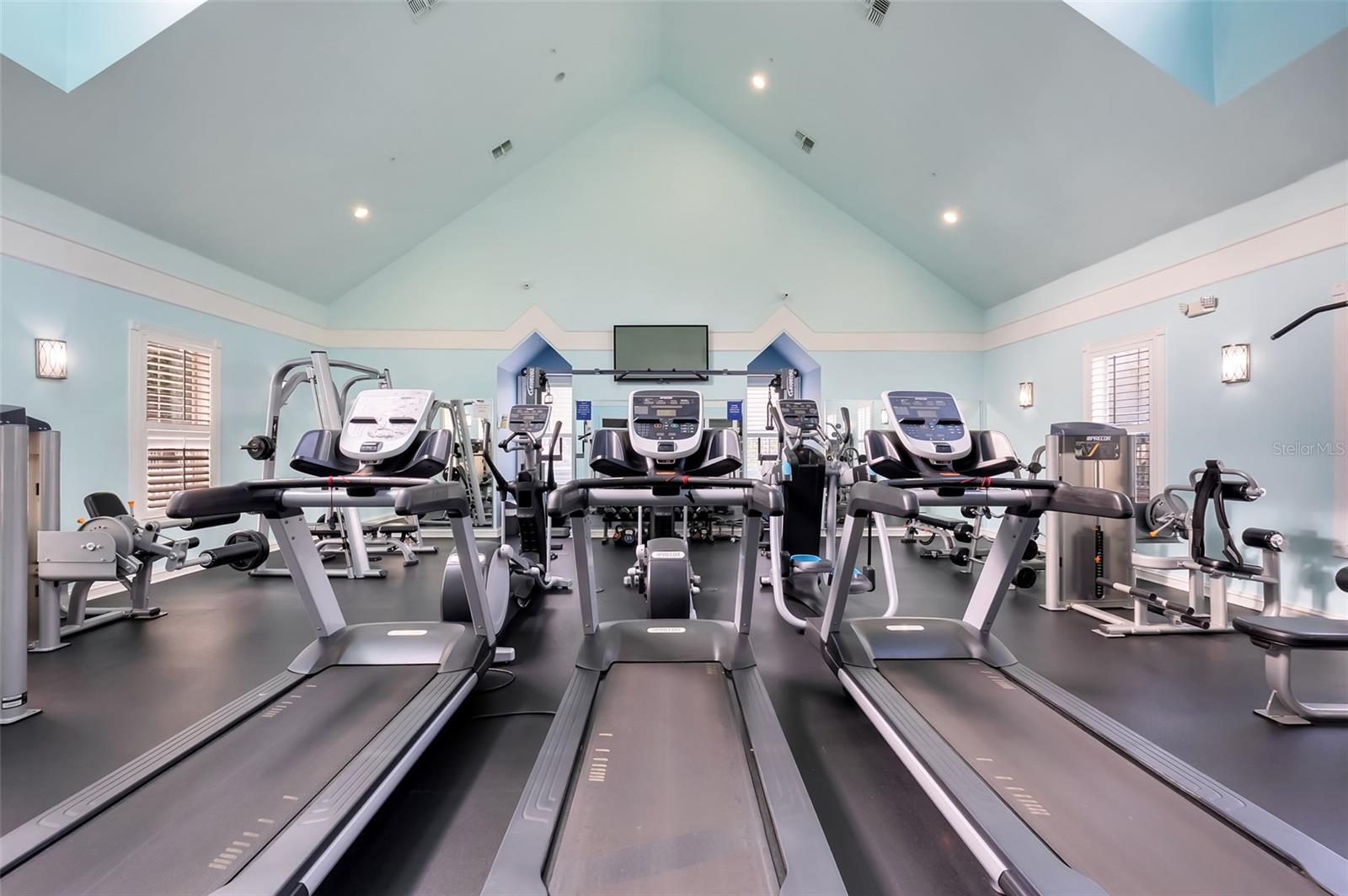 235 GOLDENRAIN DR #301