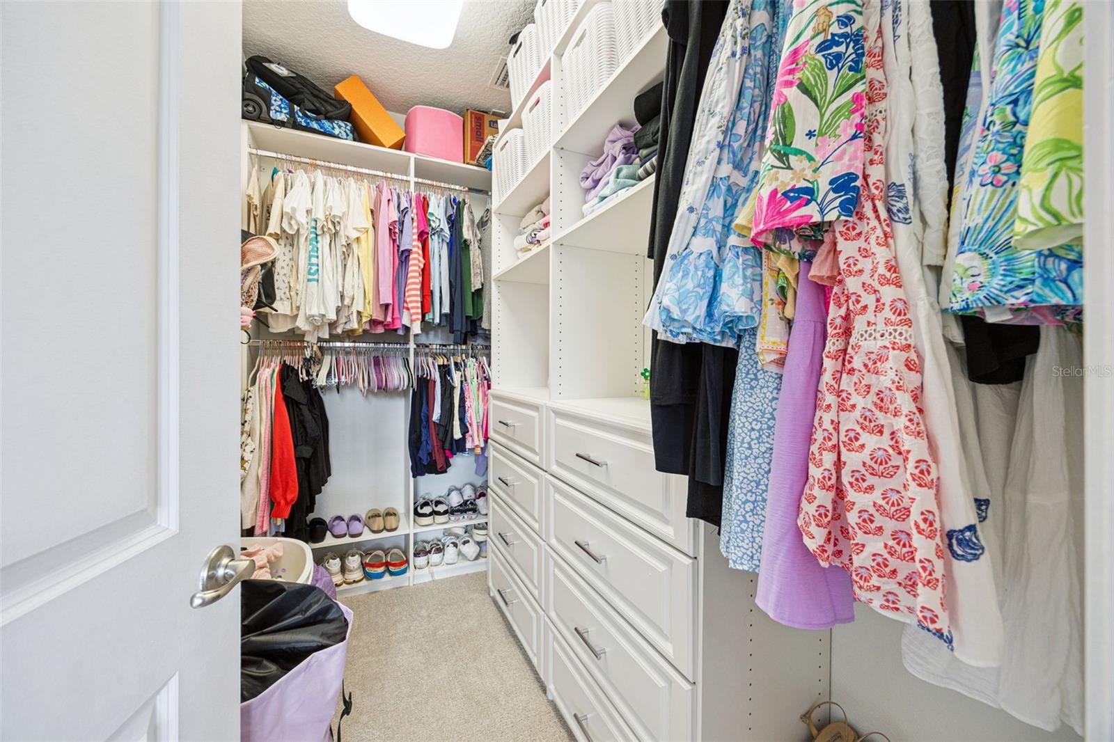 8866 BISMARCK PALM DR