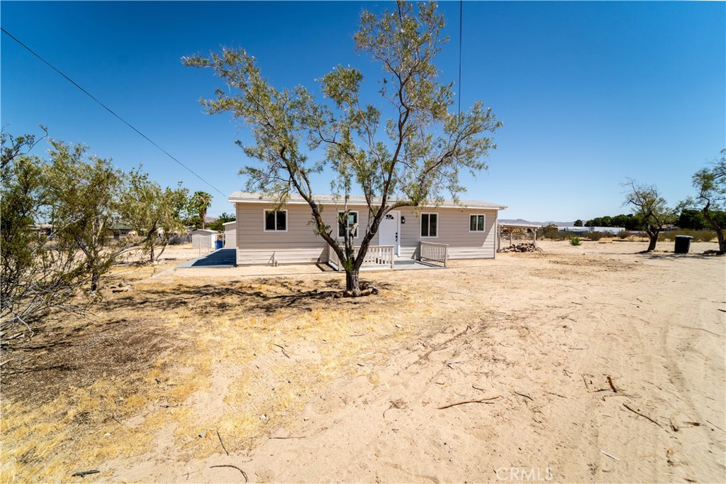 25640 Jasper