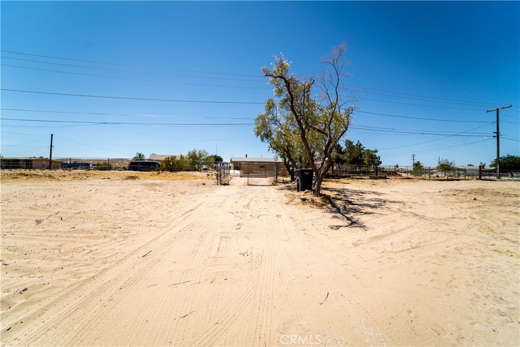 25640 Jasper
