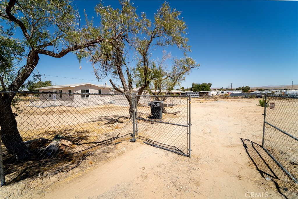 25640 Jasper