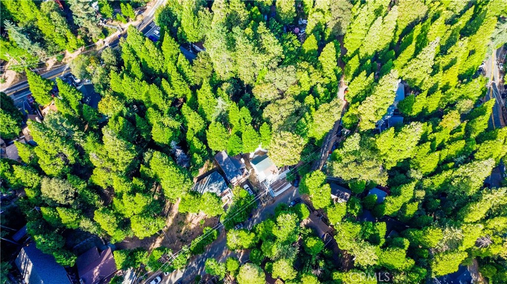 744 Woodland