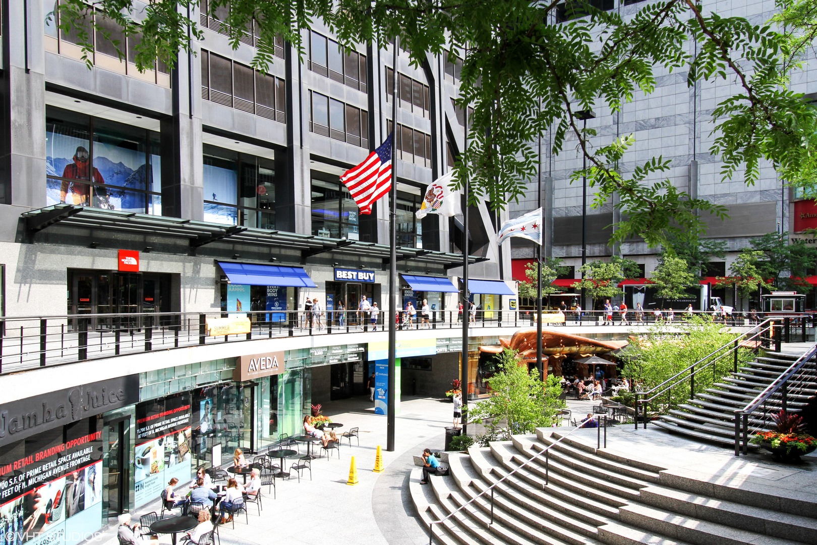 175 E Delaware Place Unit: 5411