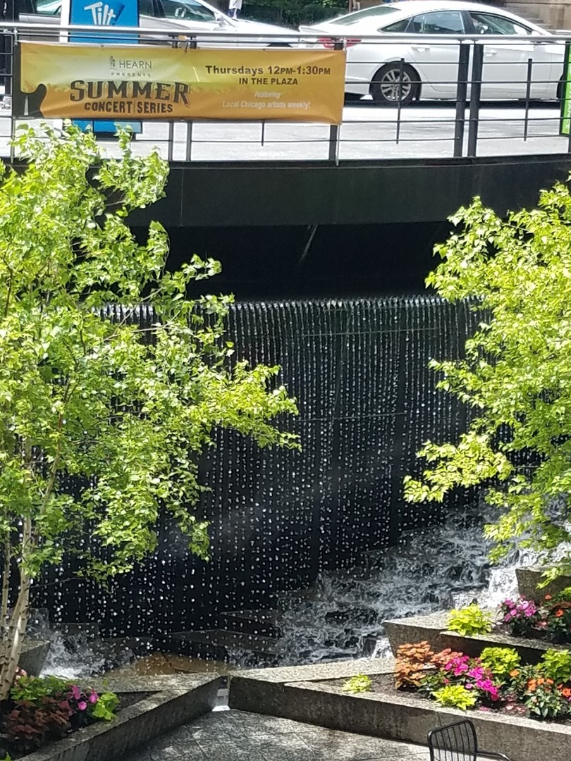 175 E Delaware Place Unit: 5411