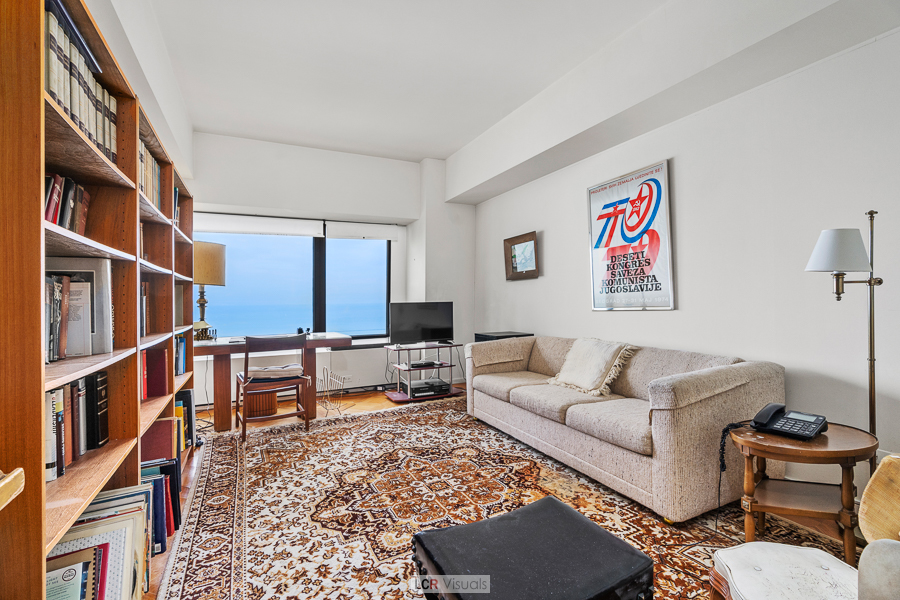 175 E Delaware Place Unit: 5411