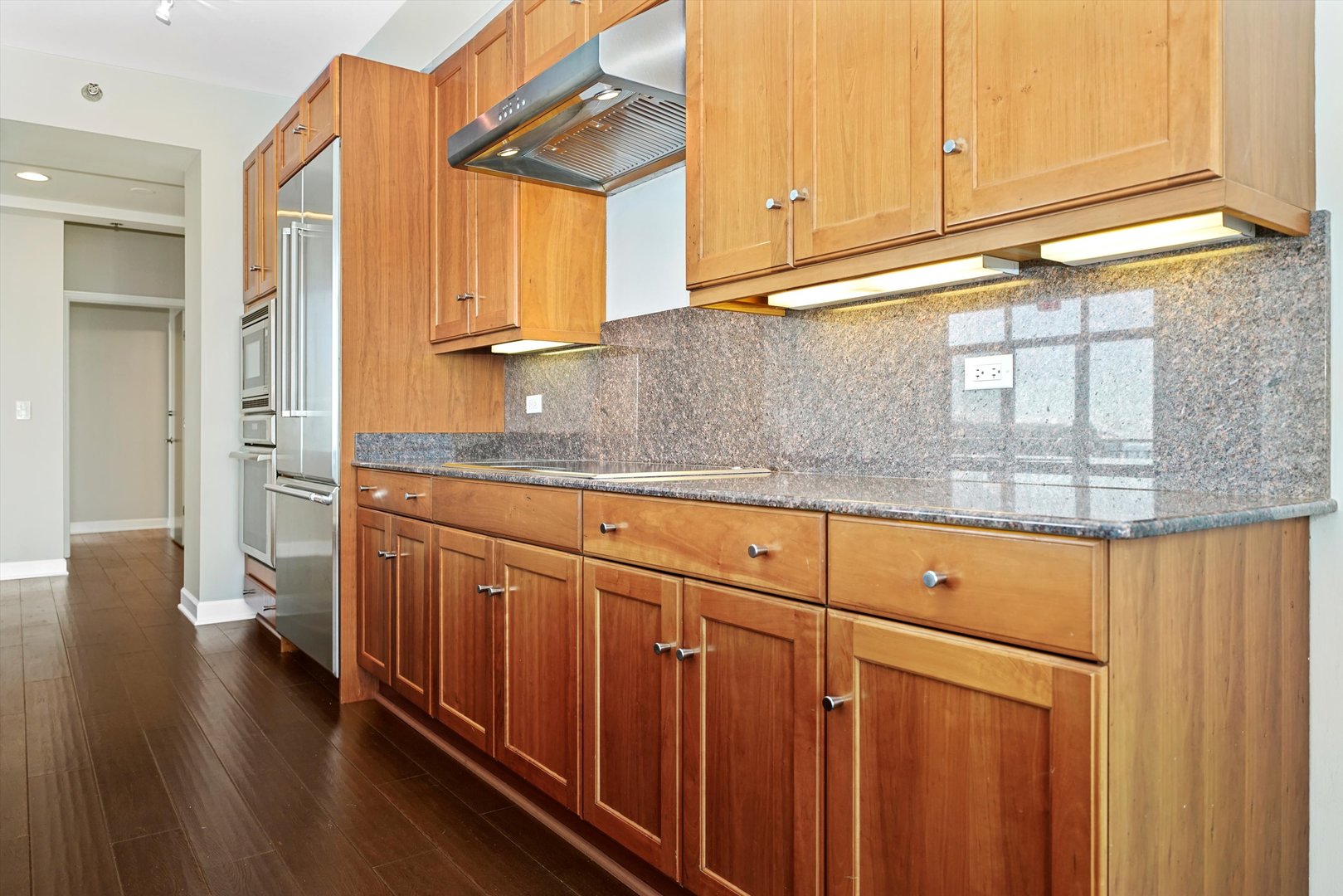 1335 S PRAIRIE Avenue Unit: 1201