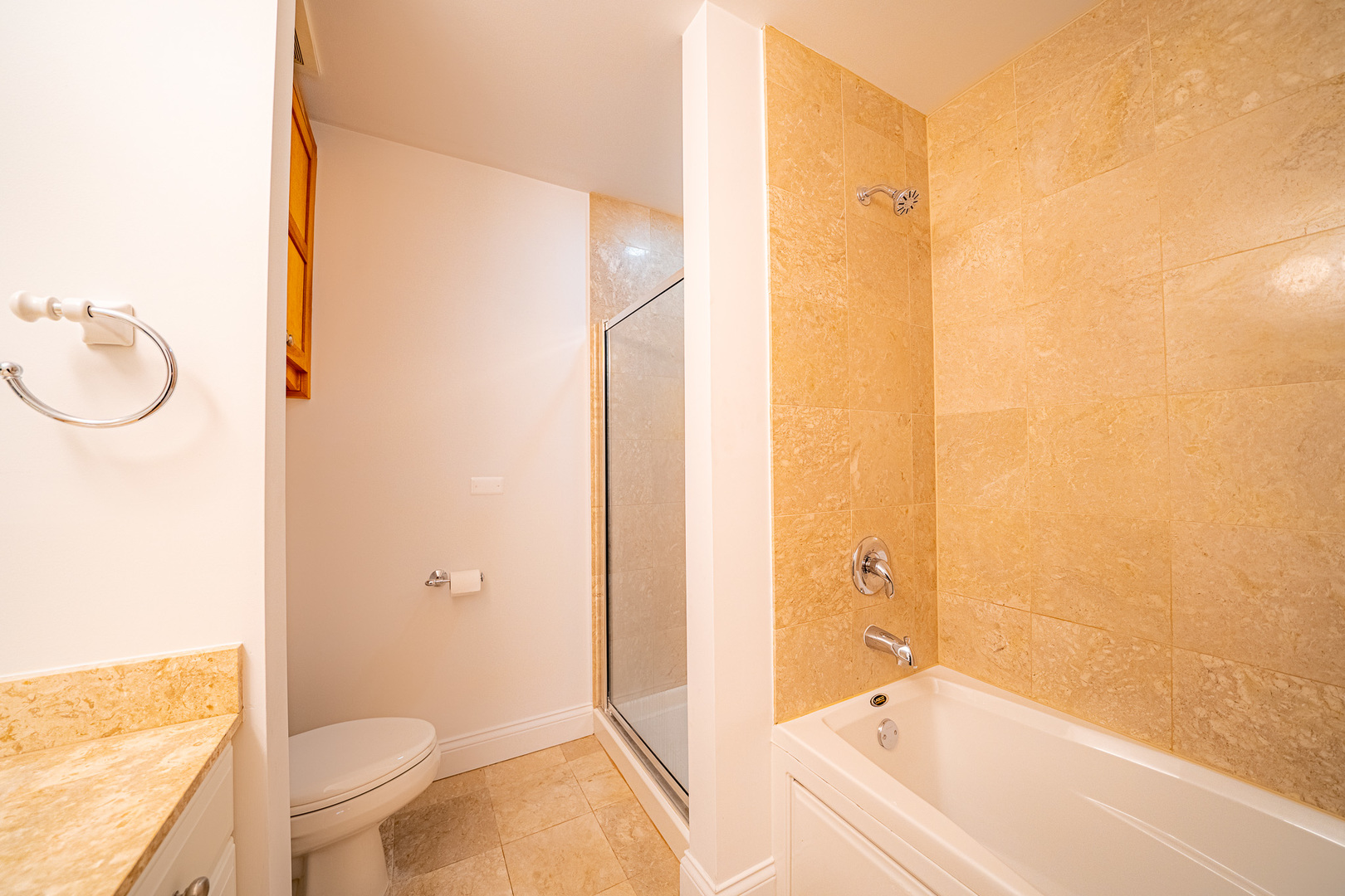 4020 N Damen Avenue Unit: 405