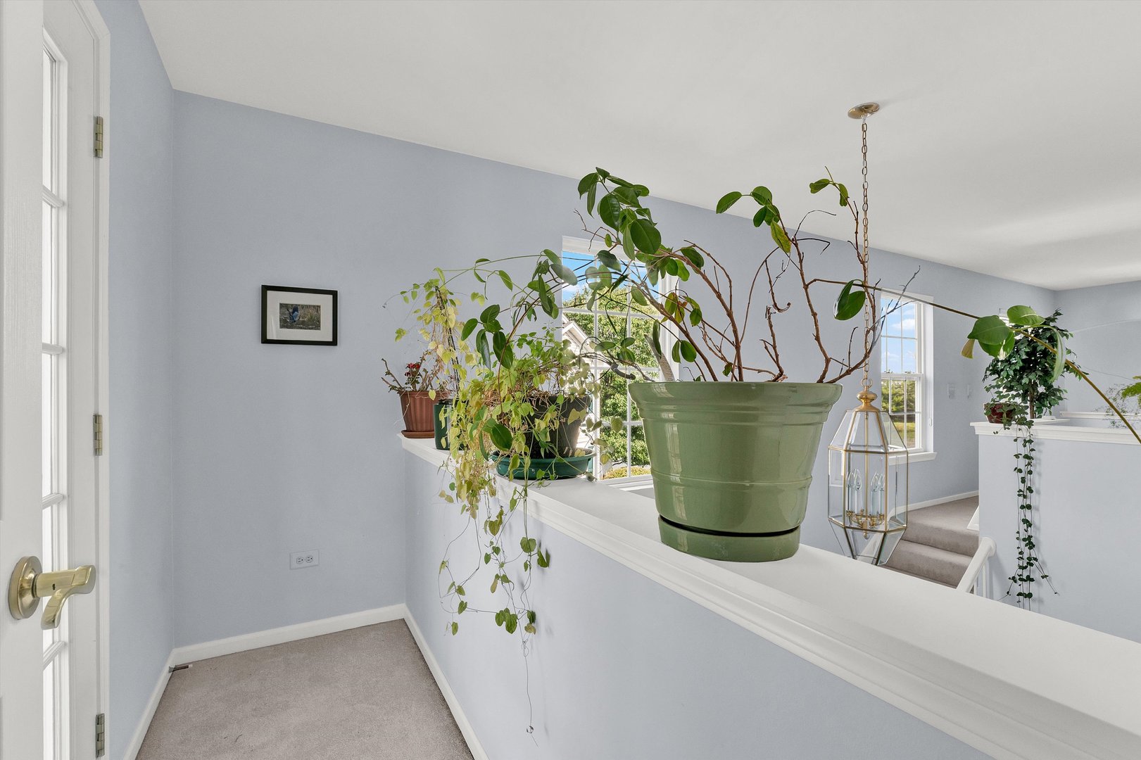337 Larsdotter Lane