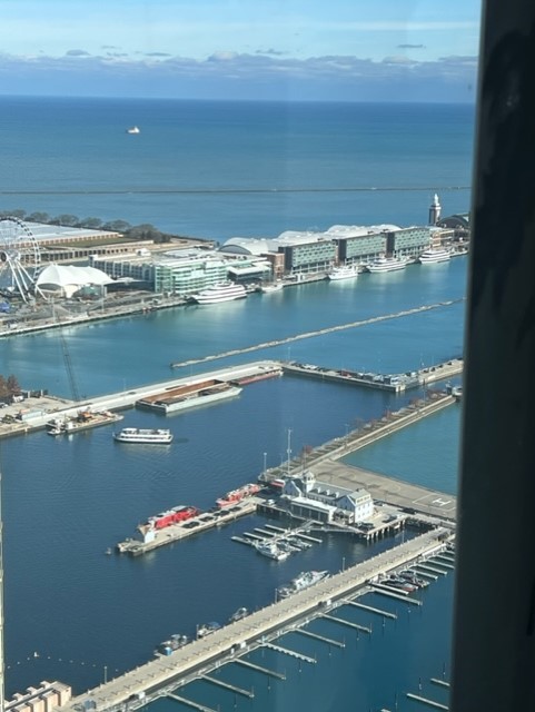 155 N Harbor Drive Unit: 5405