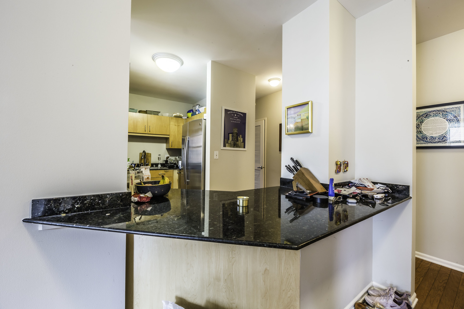 21 W Chestnut Street Unit: 1509