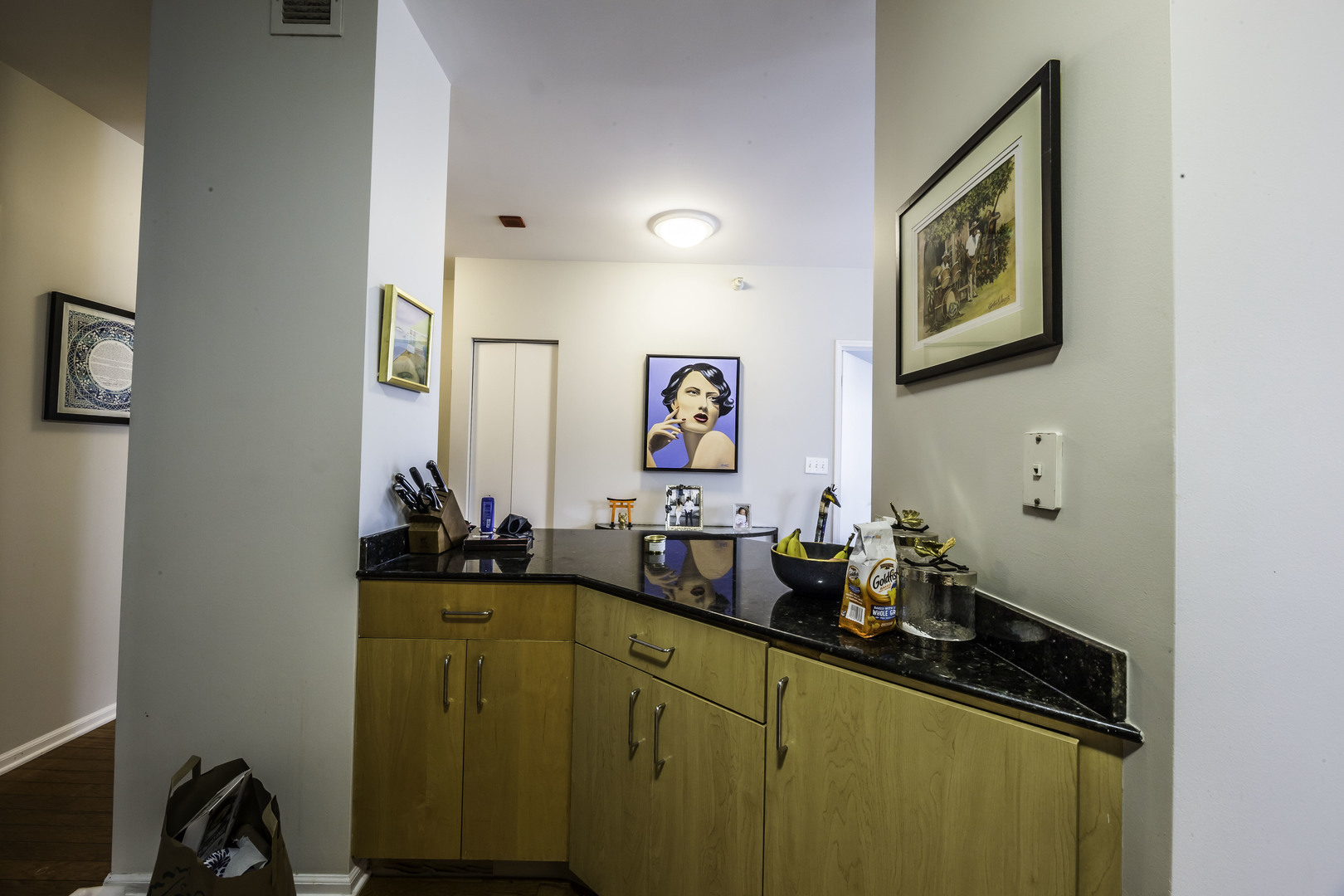 21 W Chestnut Street Unit: 1509