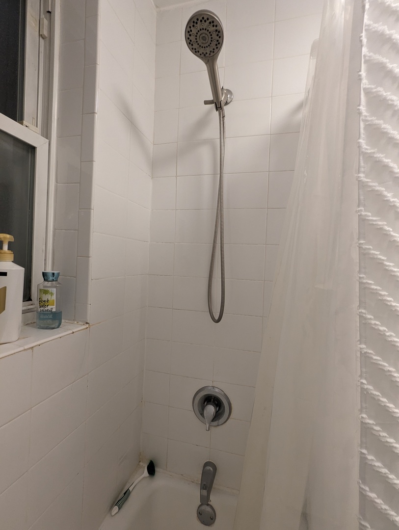 683 1/2 W Wrightwood Avenue Unit: 2S