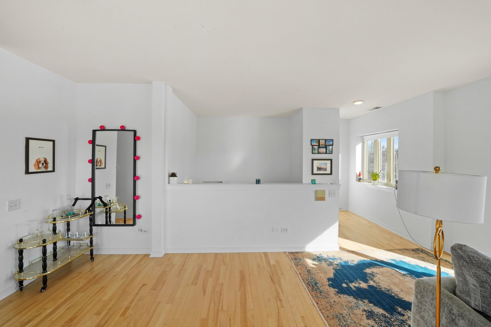 1270 S Blue Island Avenue Unit: 301