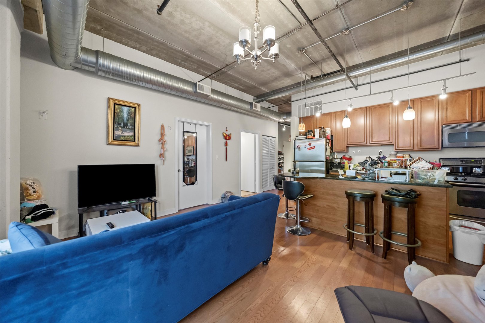 833 W 15th Place Unit: 509