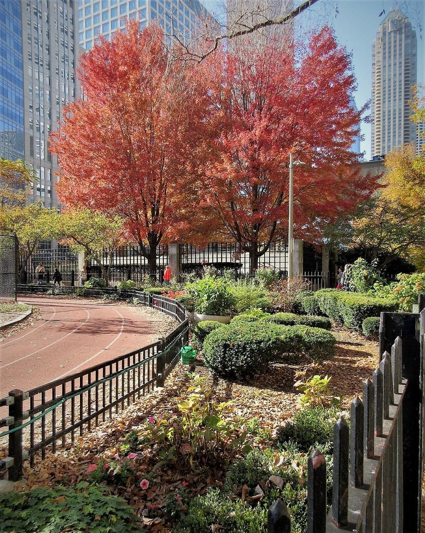 210 E Pearson Street Unit: 2A