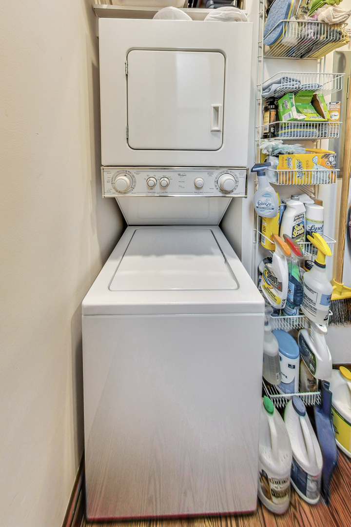 817 W George Street Unit: 3W