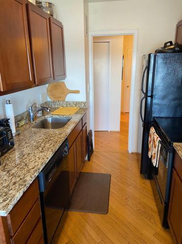 3420 N Lake Shore Drive Unit: 9N