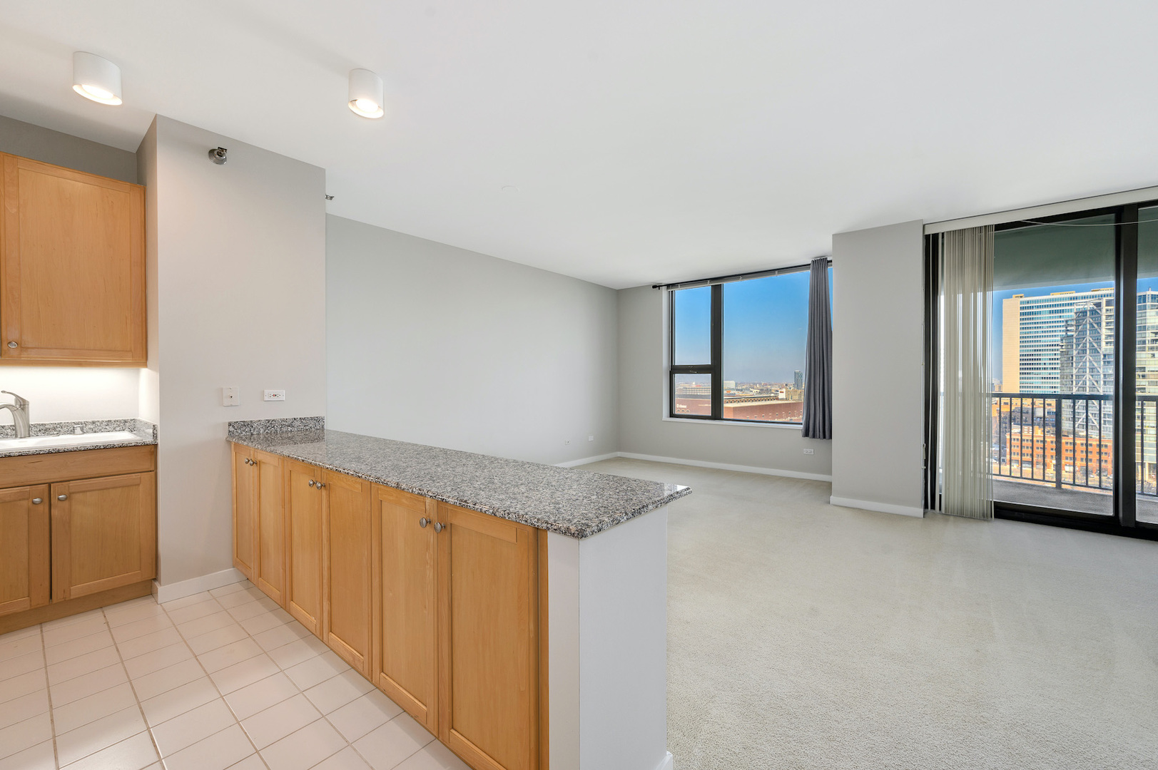 501 N Clinton Street Unit: 1601