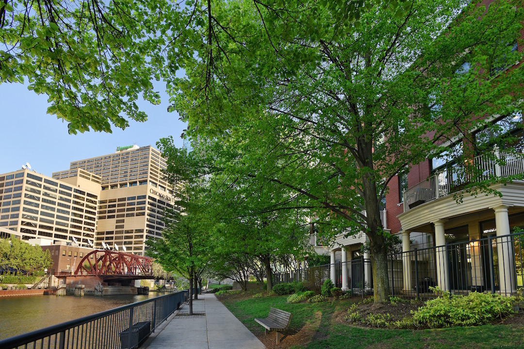 501 N Clinton Street Unit: 1601